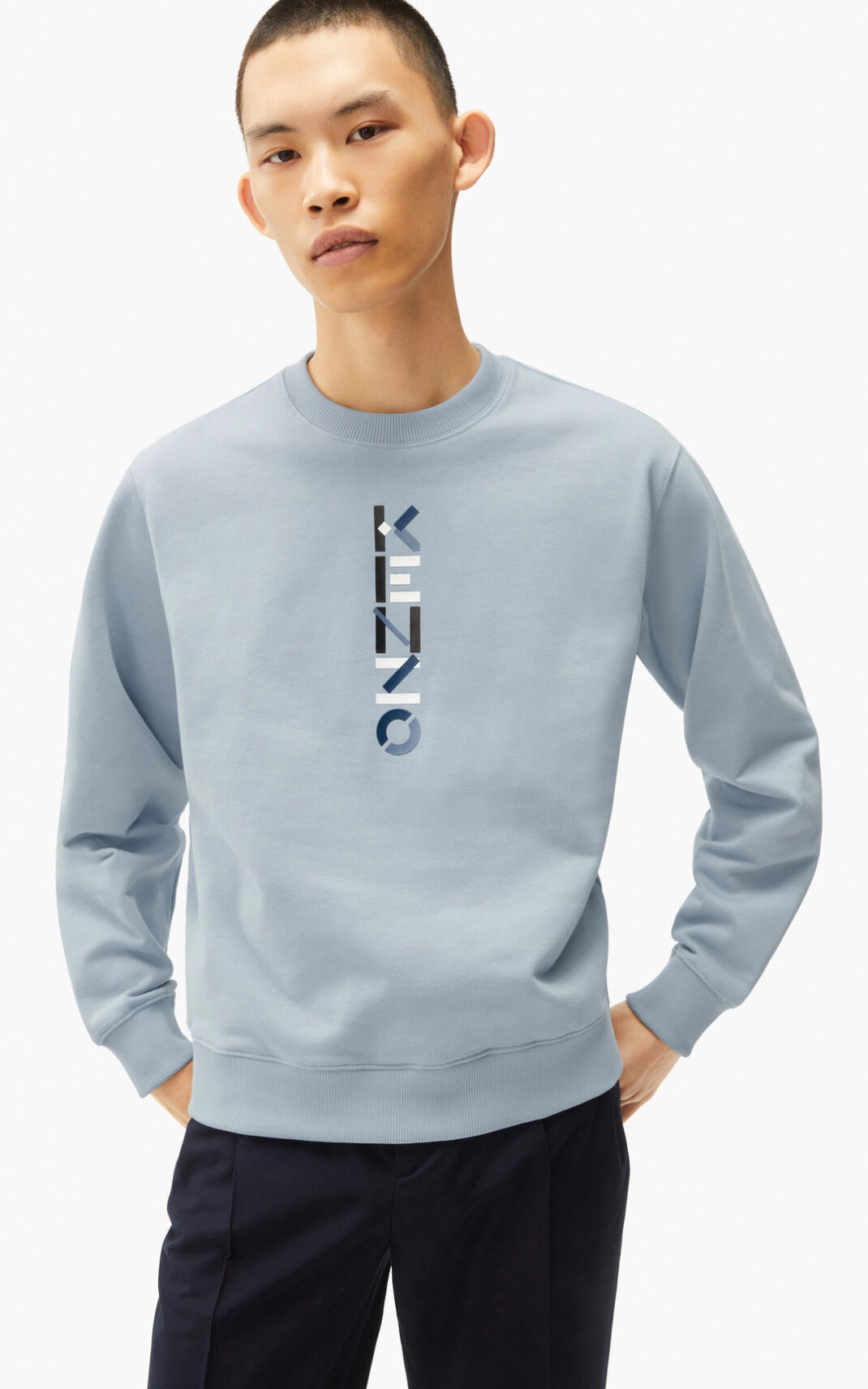 Kenzo The Vinter Capsule Logo Sweatshirt Herre - Grå DK-072993